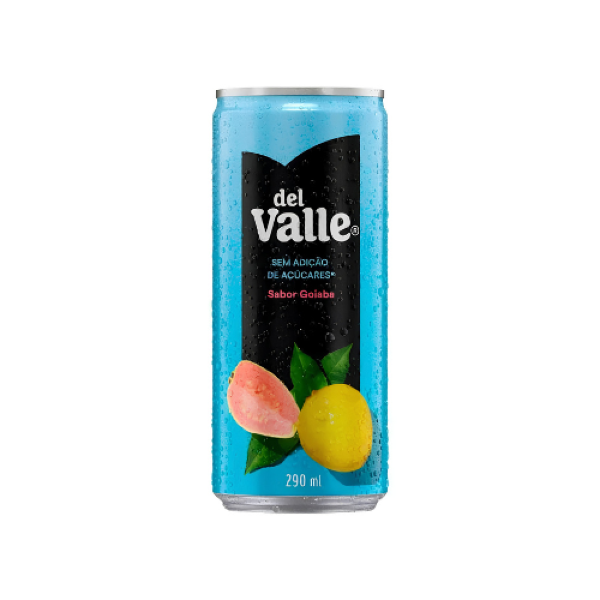 SUCO LATA GOIABA DEL VALLE 290ML