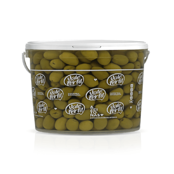 AZEITONA VERDE MÉDIA VALE FÉRTIL 2KG